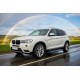 Боковые Подножки Rainbow (2 шт., Алюминий) для BMW X3 F25 2011-2018 гг