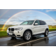 Бокові пороги Rainbow (2 шт., Алюміній) для BMW X3 F25 2011-2018 рр