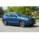 Боковые Подножки Maya Blue (2 шт., Алюминий) для BMW X3 F25 2011-2018 гг