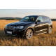 Боковые Подножки Duru (2 шт., Алюминий) для BMW X3 F25 2011-2018 гг
