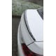 Спойлер LIP (Sunplex, чорний) (118,5см *5,5см) для Peugeot 301
