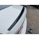 Спойлер LIP (Sunplex, чорний) (115,8см * 6,3см) для Volkswagen Lavida/e-Lavida 2019- рр