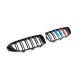 Решітка-ніздрі (2 шт, M-Look) для BMW 4 серія F-32 2012-2020 рр