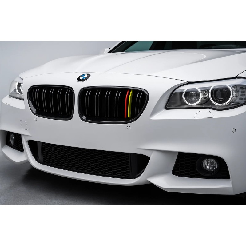 Ніздрі M-Look (German Color) для BMW 5 серія F-10/11/07 2010-2016 рр