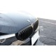 Ноздри 1 Bar (Черный глянец) для BMW 5 серия G30/31 2017-2023 гг