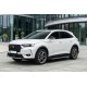 Боковые пороги Bosphorus Grey (2 шт., алюминий) для DS 7 Crossback 2017-2022 гг