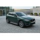 Боковые Подножки Rainbow (2 шт., Алюминий) для Jaguar F-PACE 2016- гг