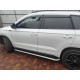 Боковые пороги ОЕМ V2 (2 шт, алюм) для Skoda Karoq