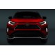 Накладки на решітку (2 шт) для Toyota Rav 4 2019- рр