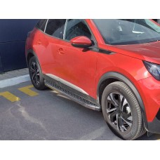 Молдинг дверний (4 шт, нерж) для Peugeot 2008 2019- рр