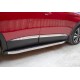 Молдинг дверний (4 шт, нерж) для Citroen C5 Aircross 2017- рр
