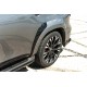 Комплект обвісів (Black Hawk Edition) для авто 2010-2020 рр. для Nissan Patrol Y62 рр