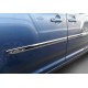 Накладки на молдинги (4 шт, нерж) для Volkswagen Caddy 2015-2020 гг