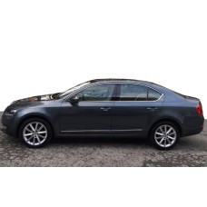 Повна окантовка вікон (10 шт, нерж) для Skoda Octavia III A7 2013-2019рр