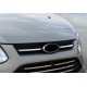 Накладки на верхнюю решетку 2013-2018 (2 шт., нерж.) для Ford Custom