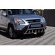 Кенгурятник WT003 (нерж.) для Honda CRV 2001-2006 рр