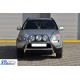 Кенгурятник WT018 (нерж.) для Honda CRV 2001-2006 рр