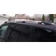 Рейлінги Хром (Для Express ) Металева ніжка для Renault Kangoo/Express 2021- рр