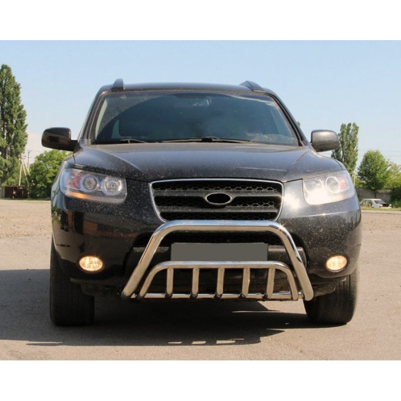 Кенгурятник WT002 (нерж.) для Hyundai Santa Fe 2 2006-2012 рр