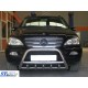 Кенгурятник (нерж.) для Mercedes ML W163