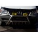 Кенгурятник WT002 (нерж.) для Mercedes Sprinter W901/902/903/904/905 1995-2006 рр