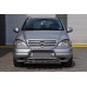 Кенгурятник (нерж.) для Mercedes ML W163