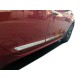 Молдинг дверний (4 шт, нерж) для Nissan Pulsar