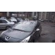 Рейлинги Skyport Grey для Peugeot 3008 2008-2016 гг