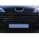 Накладки на решітку (3 шт, нерж) Carmos - Турецька сталь для Peugeot 407