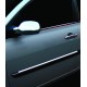 Молдинг вузький дверний 2006-2010 (4 шт, нерж) для Renault Megane II рр
