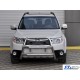 Кенгурятник WT018 (нерж.) для Subaru Forester 2008-2013 рр