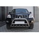 Кенгурятник низкий WT003 (нерж) для Toyota Land Cruiser Prado 120